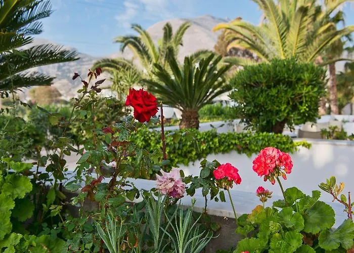 Makarios فندق 3*