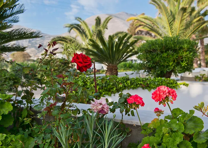 马卡里奥斯酒店 3*