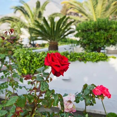 Ξενοδοχείο Makarios 3*